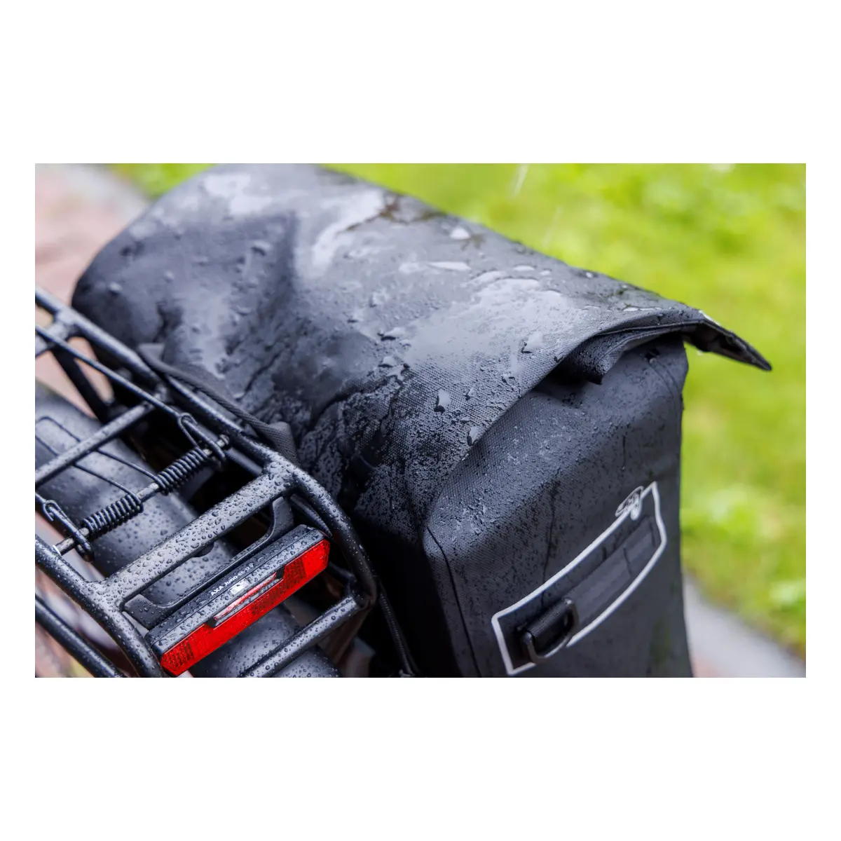 10805_11. Webp 10805 11