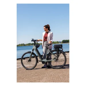 10811_7. Webp 10811 7