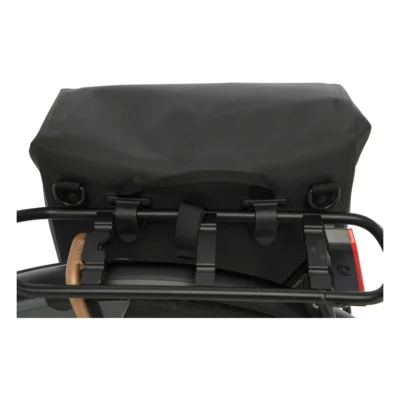 10821_7_. Webp 10821 7