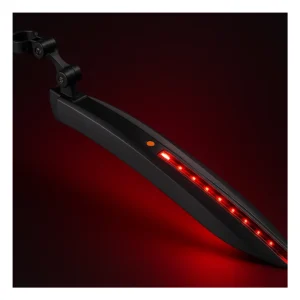 10842_1. Webp 10842 1