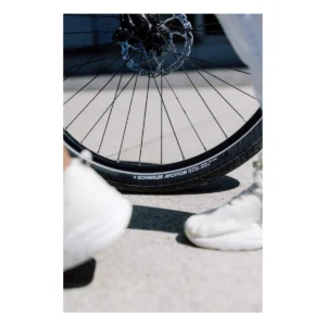 10843_2. Webp 10843 2