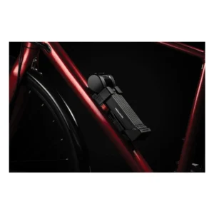 10855_7. Webp 10855 7