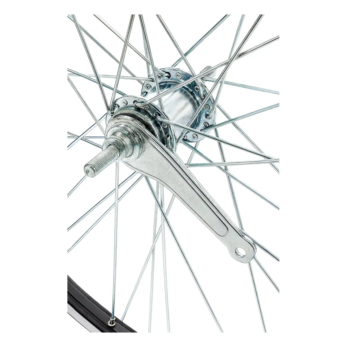 10864_1. Webp 10864 1