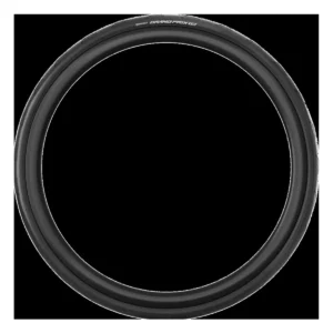 10891_2. Webp 10891 2