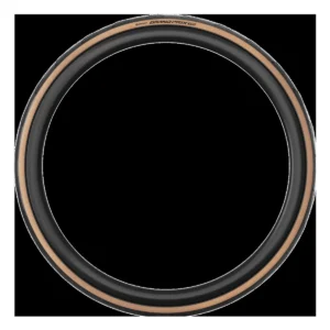 10894_2. Webp 10894 2