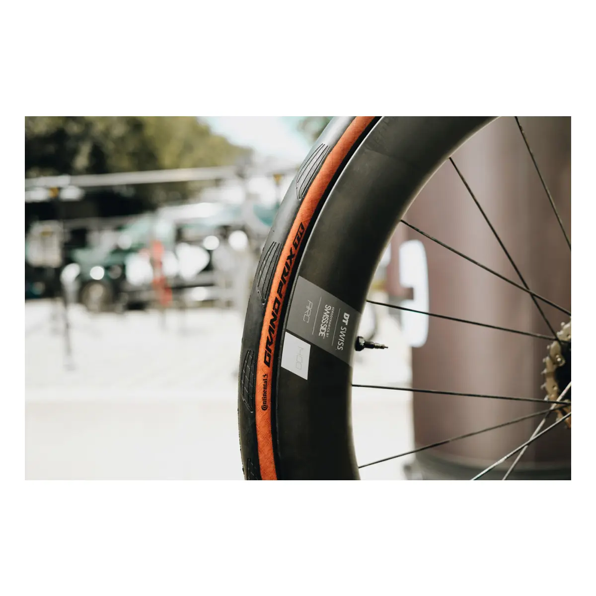 10894_4. Webp 10894 4