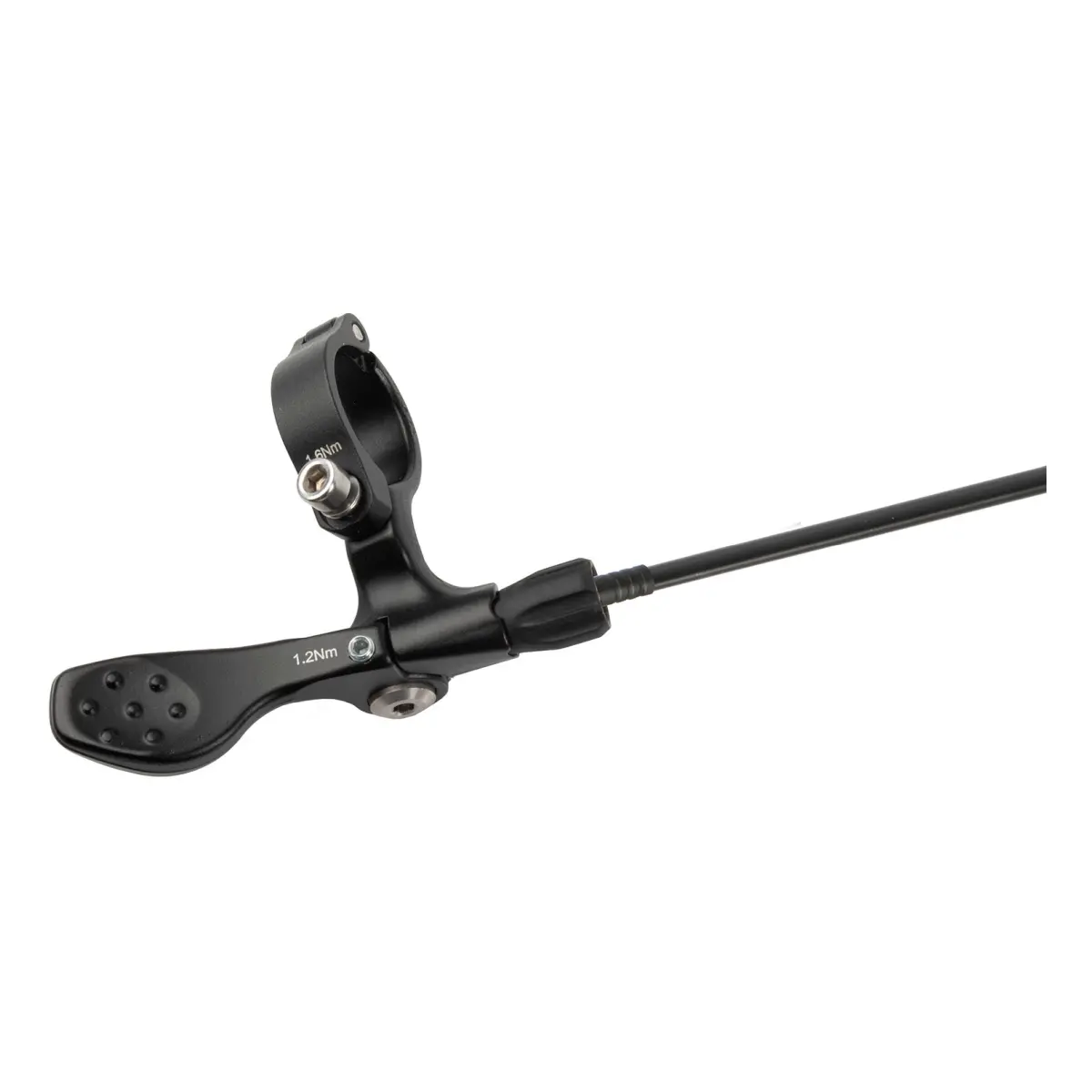 10950_2. Webp 10950 2