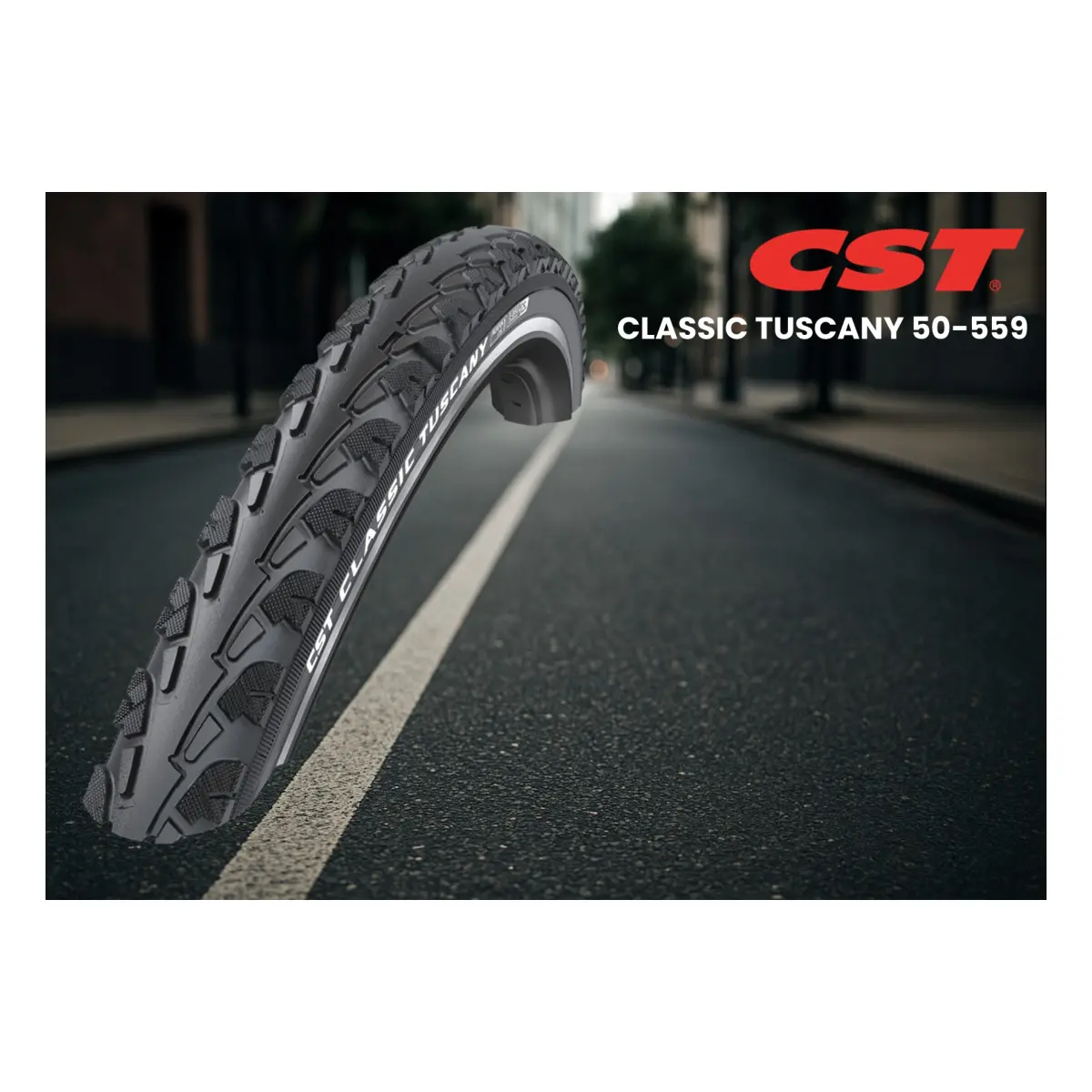 11083_1. Webp 11083 1