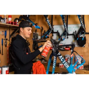 11237_1. Webp 11237 1