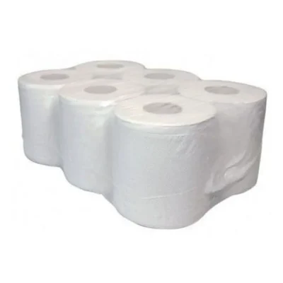 Poetspapier Euro Products recycled - 300 meter - 6 rollen