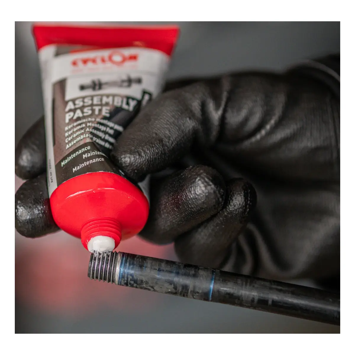 27601385_1. Webp 27601385 1