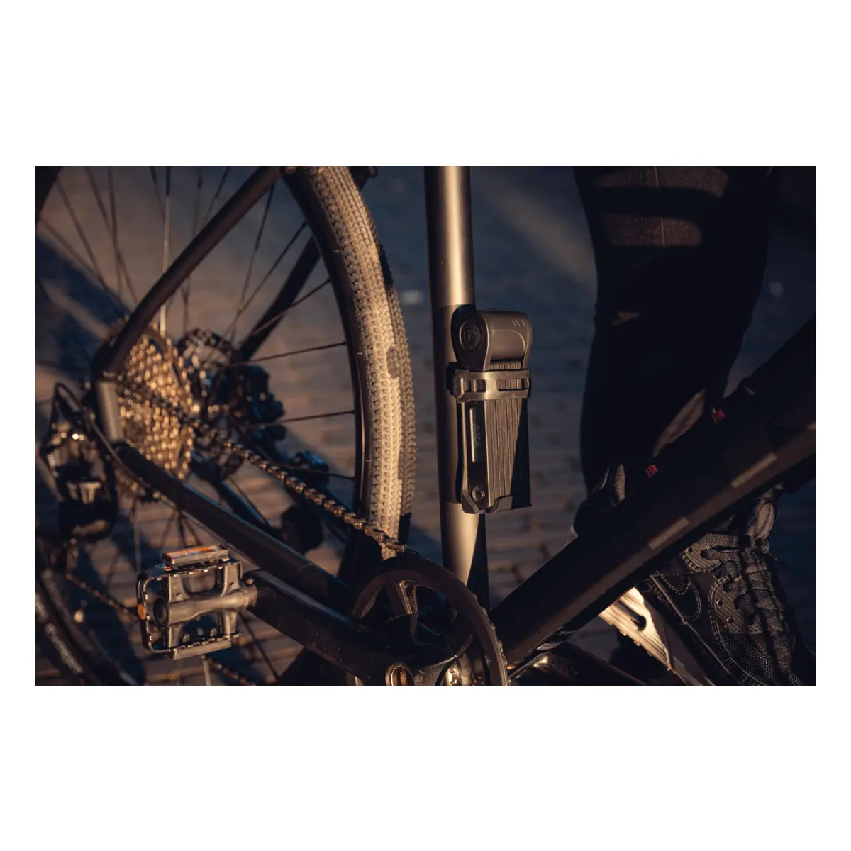 500964_4_1. Webp 500964 4 1