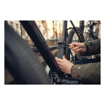 500965_11_1. Webp 500965 11 1