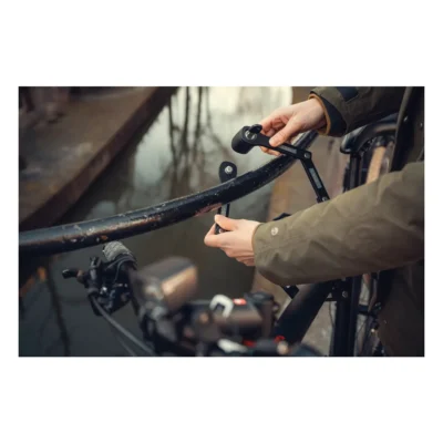 500965_12_1. Webp 500965 12 1