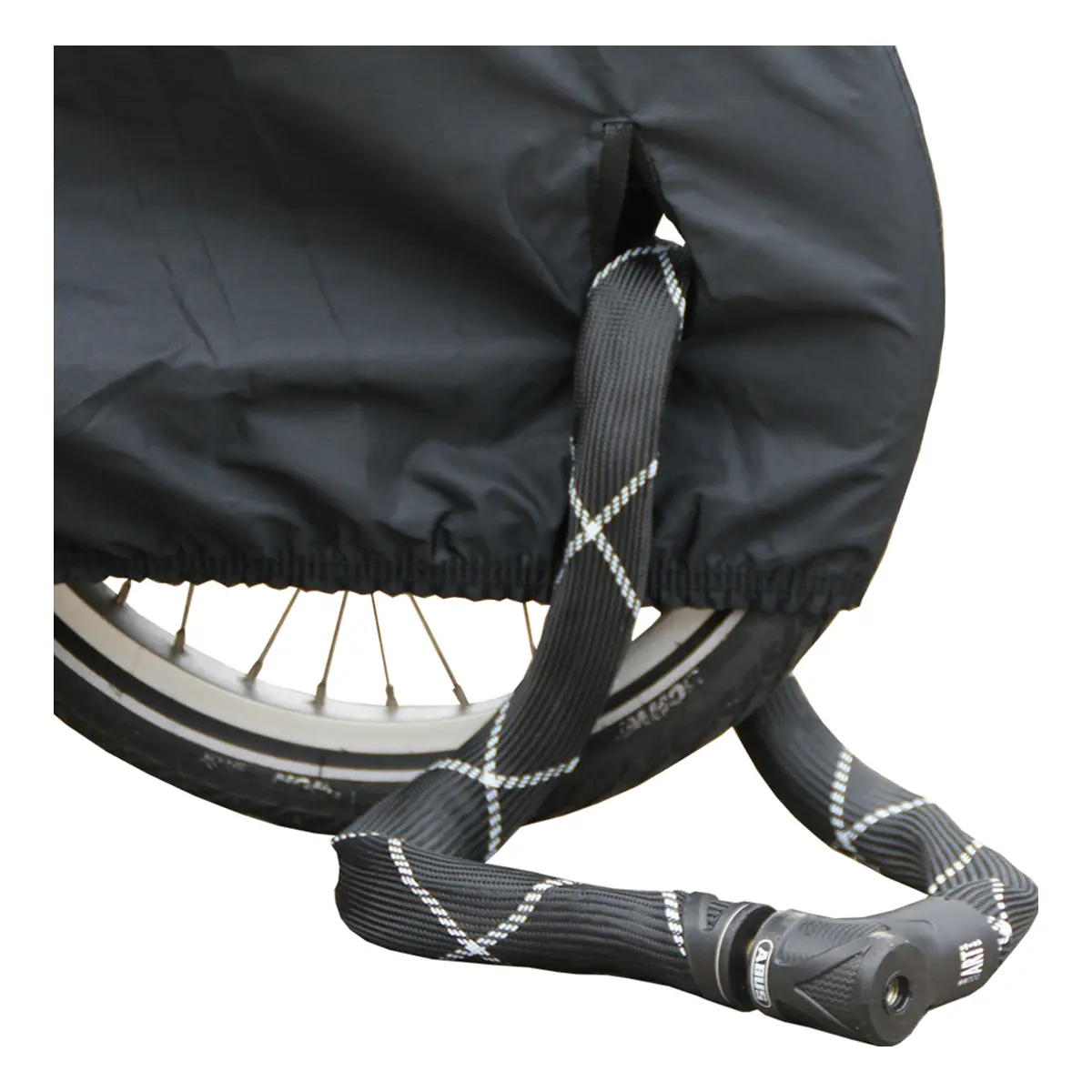 50097870-1. Webp 50097870 1