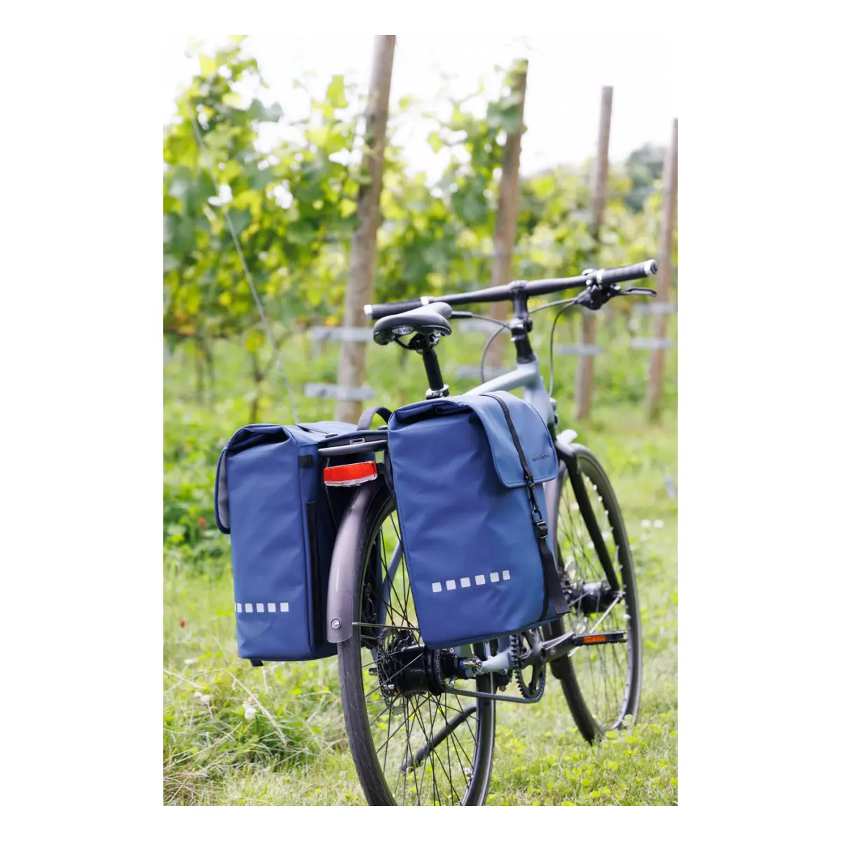 58010197_4. Webp 58010197 4