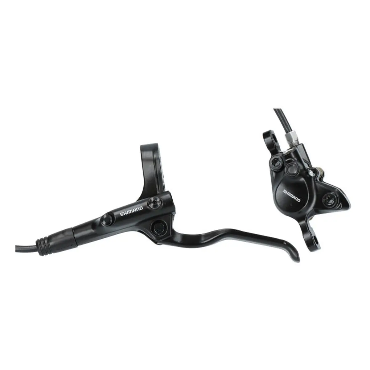 702036b. Webp 702036b