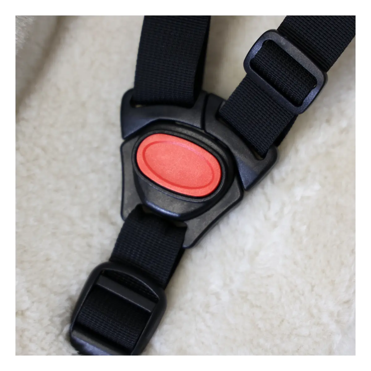 75430100_2. Webp 75430100 2