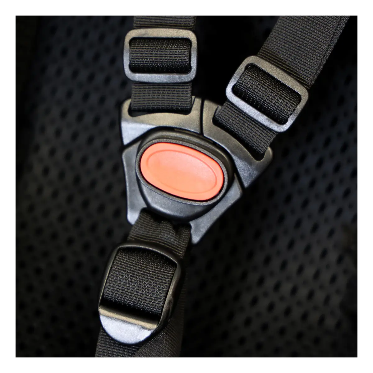 75430115_2. Webp 75430115 2