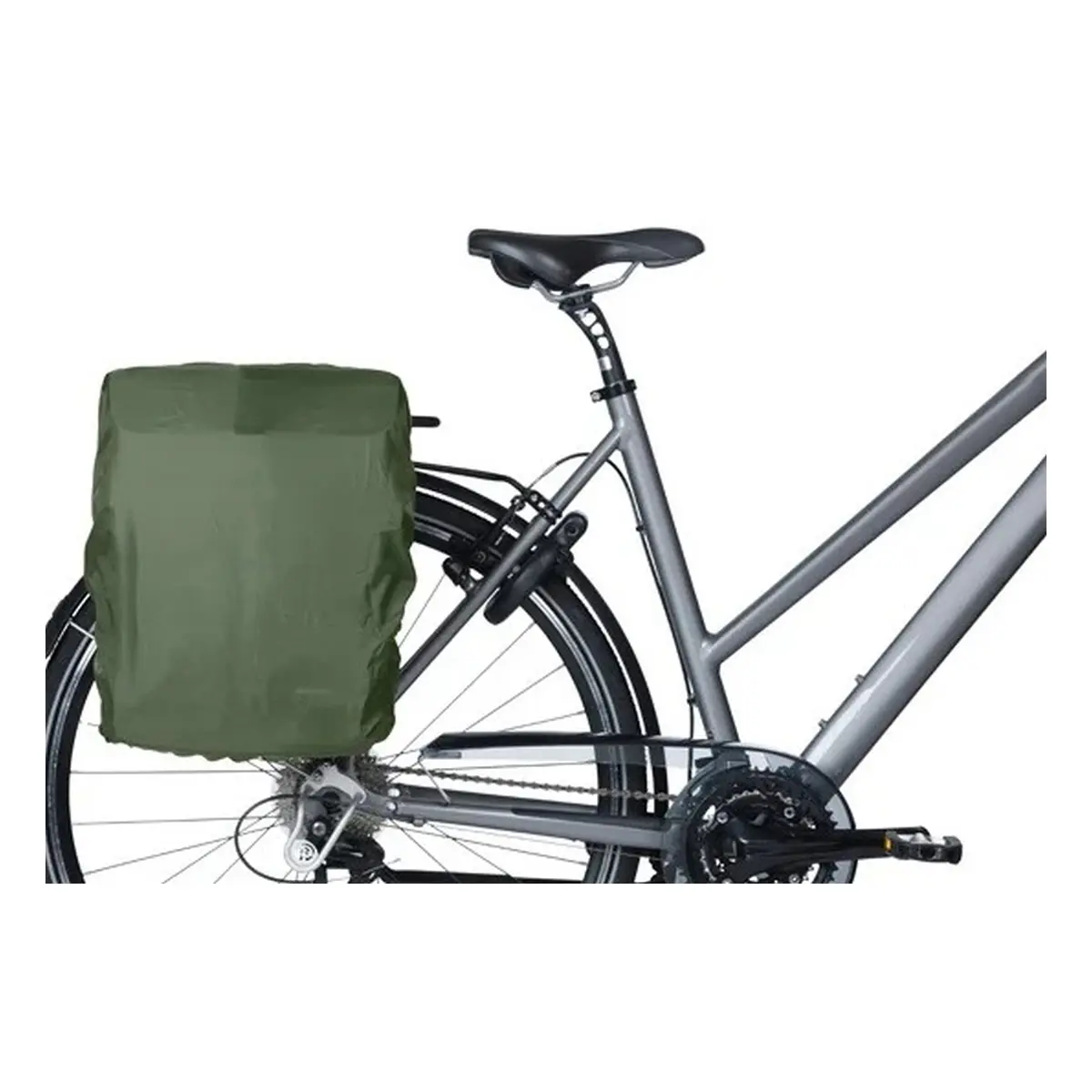 82150781_6. Webp 82150781 6