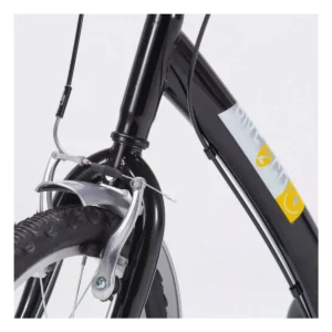 901060_2. Webp 901060 2