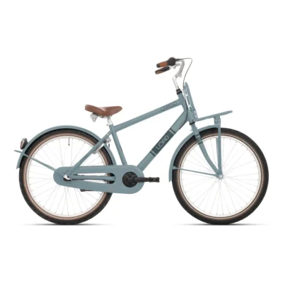 Kinderfiets Bikefun Load 20 inch met remnaaf - Speed Blauw