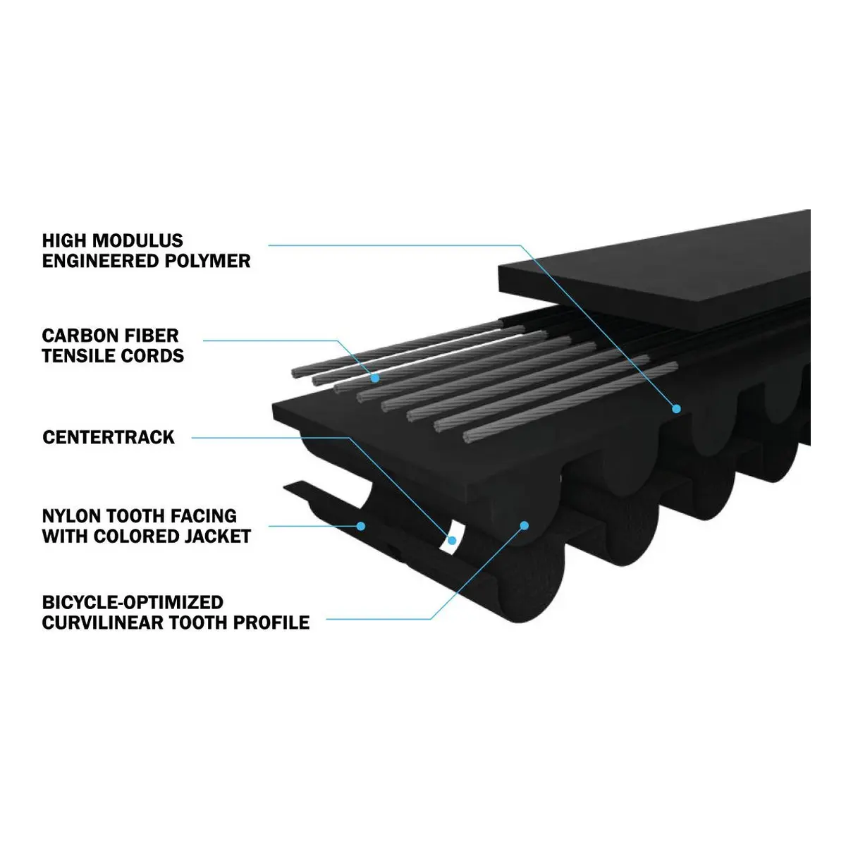 Cdn_2_2. Webp cdn 2 2