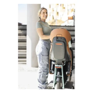 Cinnamon_brown_2_. Webp cinnamon brown 2