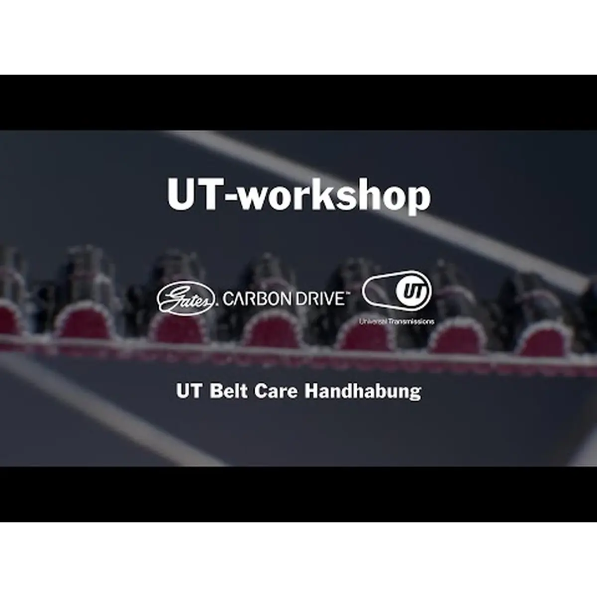 Hqdefault_10_13. Webp hqdefault 10 13